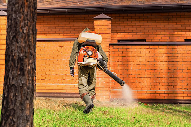 Top rated local Cockroach Control specialists in Osgood, IN